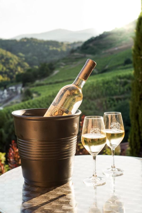 Wine Passion Panoramic Hotel Chavanay Exterior photo