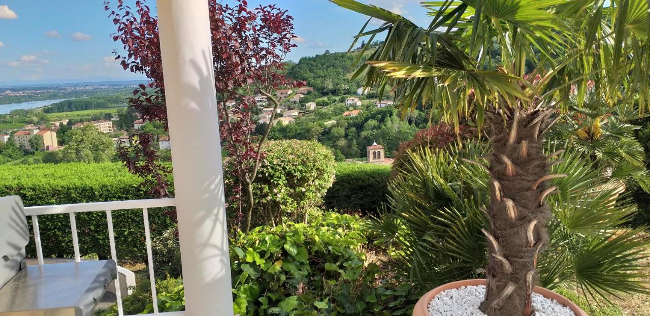 Wine Passion Panoramic Hotel Chavanay Exterior photo